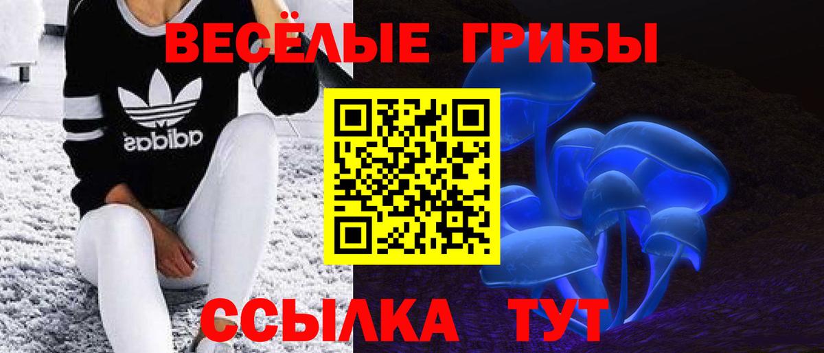 Владимир  Галлюциногенные грибы Psilocybe  Галлюциногенные грибы MAGIC MUSHROOMS  Вход с VPN 